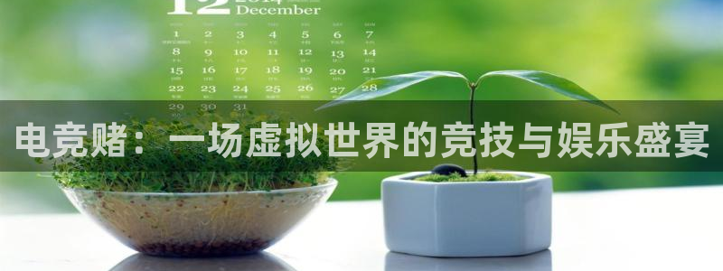 威客电竞官网：电竞赌：一场虚拟世界的竞技与娱乐盛宴