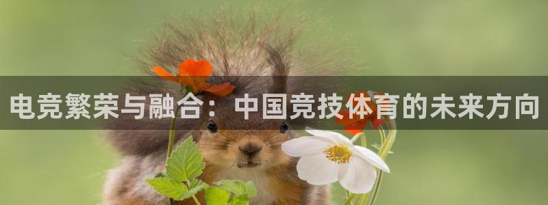 vkgame威客电竞：电竞繁荣与融合：中国竞技体育的未来方向