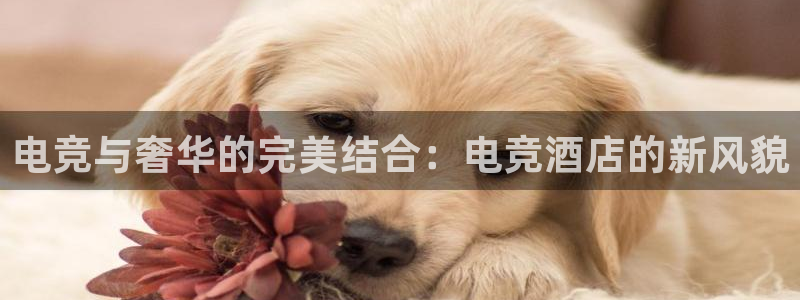 威客电竞网页版入口：电竞与奢华的完美结合：电竞酒店的新风貌