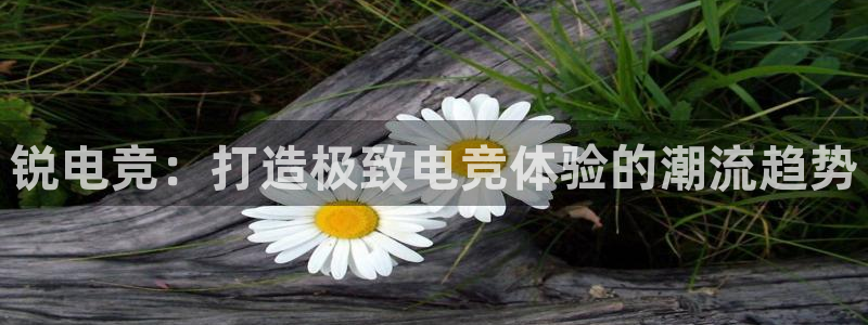 威客电竞vkgame官网：锐电竞：打造极致电竞体验的潮流趋势