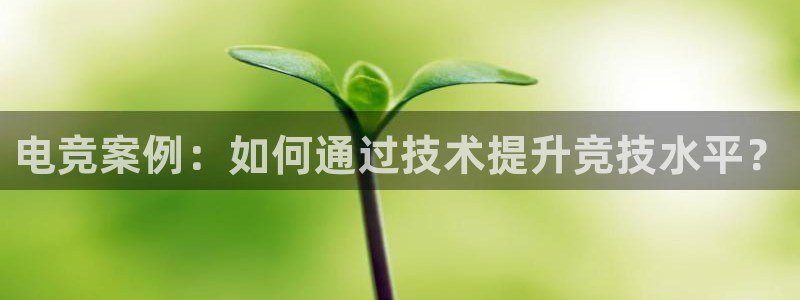 威客电竞vkgame官网：电竞案例：如何通过技术提升竞技水平？