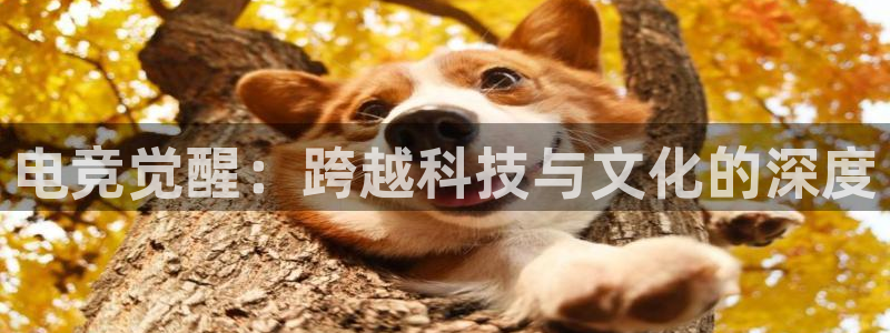 威客电竞官网下载：电竞觉醒：跨越科技与文化的深度