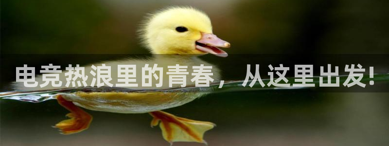 威客电竞VKGAME：电竞热浪里的青春，从这里出发!