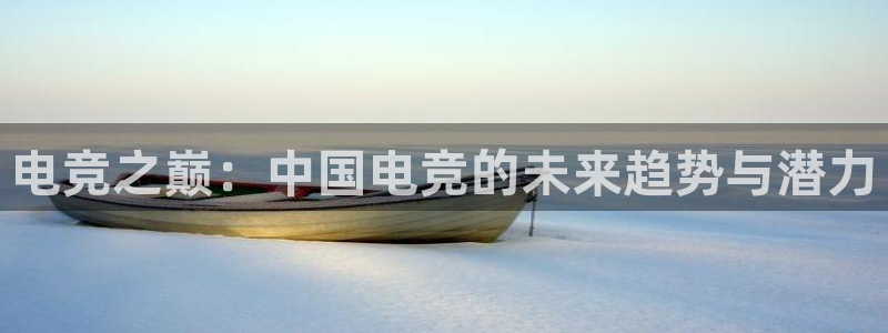 威客电竞酒店：电竞之巅：中国电竞的未来趋势与潜力