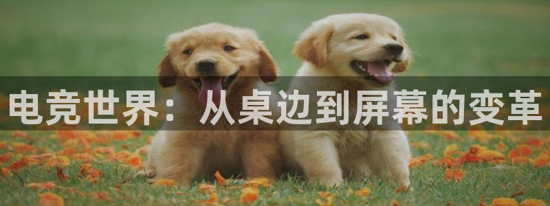 威客电竞官网：电竞世界：从桌边到屏幕的变革