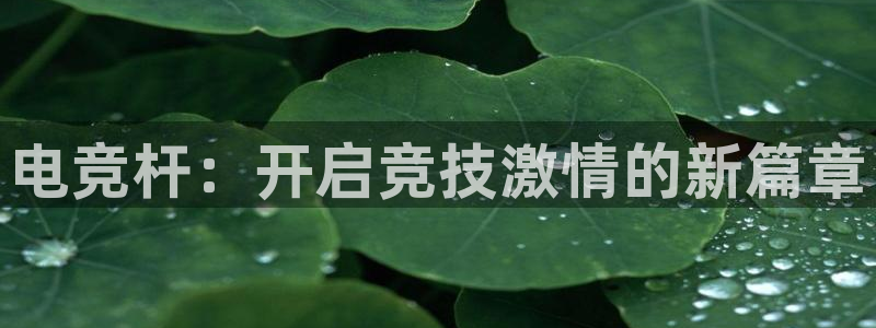 威客电竞vkgame官网：电竞杆：开启竞技激情的新篇章