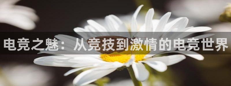 vkgame 威客电竞：电竞之魅：从竞技到激情的电竞世界