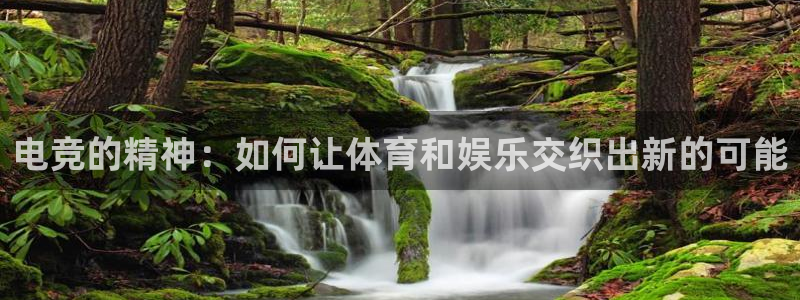 威客电竞酒店：电竞的精神：如何让体育和娱乐交织出新的可能