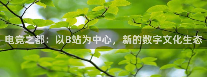 威客电竞集团：电竞之都：以B站为中心，新的数字文化生态