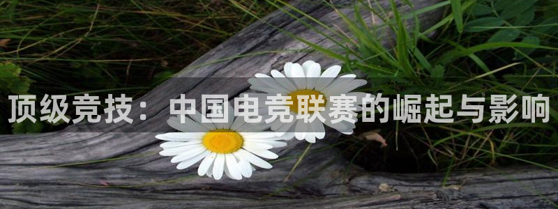 vkgame威客电竞官网：顶级竞技：中国电竞联赛的崛起与影响