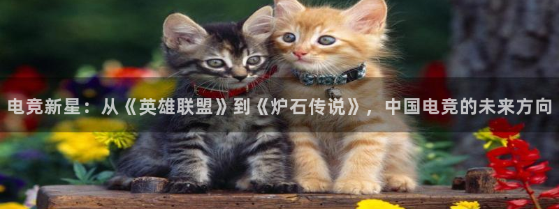 威客电竞官网：电竞新星：从《英雄联盟》到《炉石传说》，中国电竞的未来方向