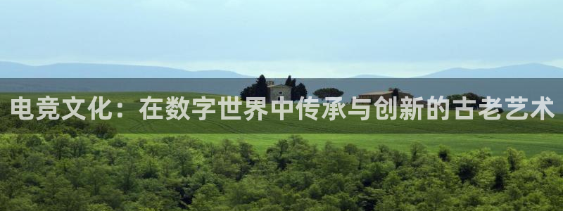 威客电竞官网：电竞文化：在数字世界中传承与创新的古老艺术